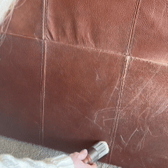 0420(1).gif__PID:f9beeb30-fd74-40c3-b19b-5cb83ef64010