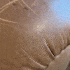 Gif1-ezgif.com-optimize-2.gif__PID:85efde32-97c3-46b6-bd96-f3d527ccb730