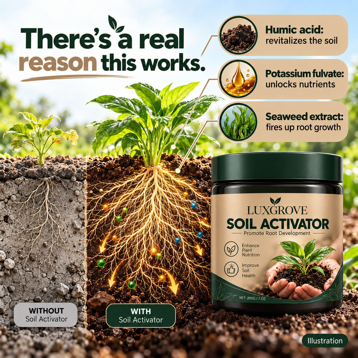Luxgrove Soil Activator - Luxgrove