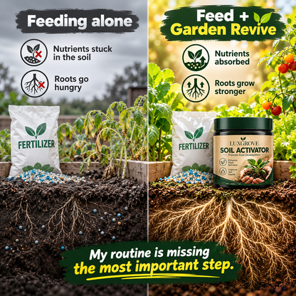 Luxgrove Soil Activator - Luxgrove